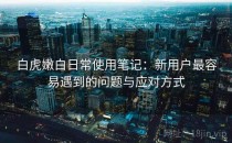 白虎嫩白日常使用笔记：新用户最容易遇到的问题与应对方式