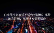 白虎图片到底适不适合长期用？哪些地方好用，哪些地方需要适应