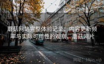 蘑菇网站完整体验记录：内容更新频率与实际可用性的观察，蘑菇网片
