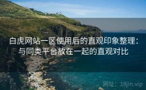白虎网站一区使用后的直观印象整理：与同类平台放在一起的直观对比