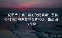 白虎图片｜偏日常的使用观察：整体使用氛围与浏览节奏的感受，白虎图片头像