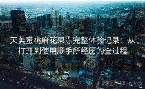 天美蜜桃麻花果冻完整体验记录：从打开到使用顺手所经历的全过程