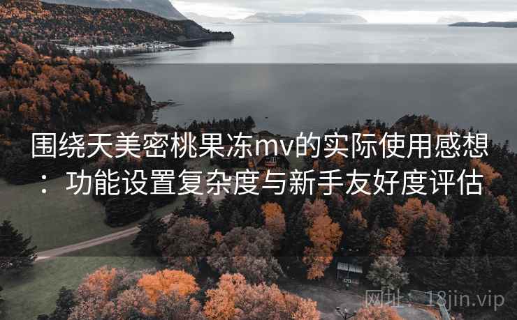围绕天美密桃果冻mv的实际使用感想：功能设置复杂度与新手友好度评估  第2张
