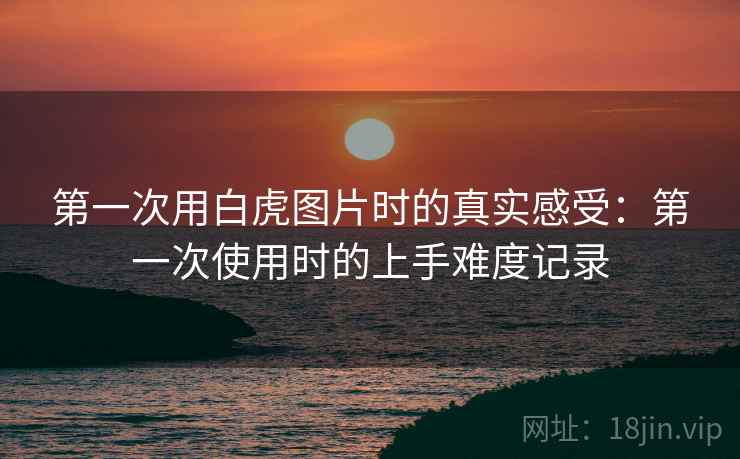 第一次用白虎图片时的真实感受:第一次使用时的上手难度记录 第2张 第一次用白虎图片时的真实感受:第一次使用时的上手难度记录 第2张