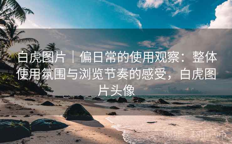 白虎图片｜偏日常的使用观察：整体使用氛围与浏览节奏的感受，白虎图片头像  第2张