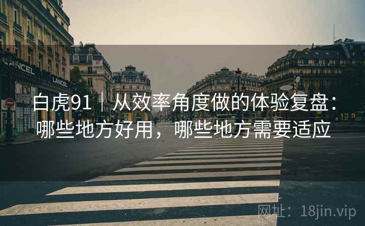 白虎91｜从效率角度做的体验复盘：哪些地方好用，哪些地方需要适应  第2张