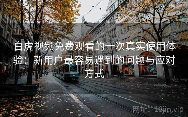白虎视频免费观看的一次真实使用体验:新用户最容易遇到的问题与应对方式 第2张 白虎视频免费观看的一次真实使用体验:新用户最容易遇到的问题与应对方式 第2张
