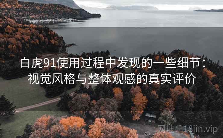 白虎91使用过程中发现的一些细节:视觉风格与整体观感的真实评价 第2张 白虎91使用过程中发现的一些细节:视觉风格与整体观感的真实评价 第2张