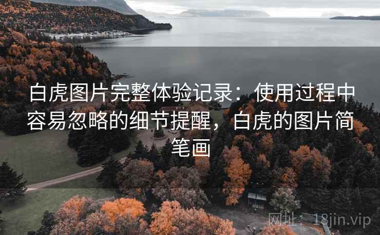 白虎图片完整体验记录:使用过程中容易忽略的细节提醒,白虎的图片简笔画 第1张 白虎图片完整体验记录:使用过程中容易忽略的细节提醒,白虎的图片简笔画 第1张