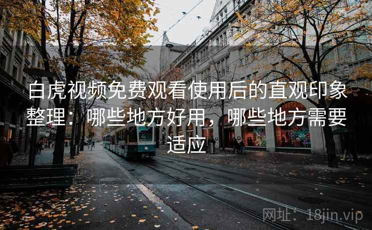 白虎视频免费观看使用后的直观印象整理:哪些地方好用,哪些地方需要适应 第2张 白虎视频免费观看使用后的直观印象整理:哪些地方好用,哪些地方需要适应 第2张